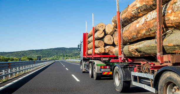 istock Timber Truck Transporting Loogs on Highway 674322022