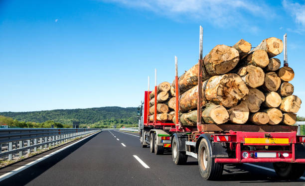istock Timber Truck Transporting Loogs on Highway 674322028