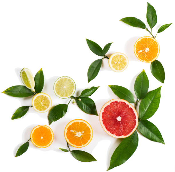 istock Set of different citrus fruits 674327808