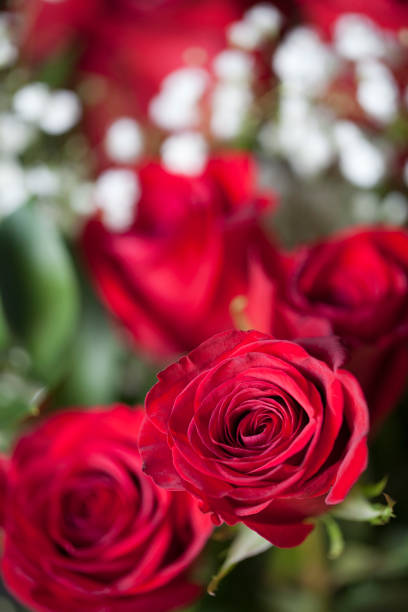 istock Bouquet of red roses 674335724