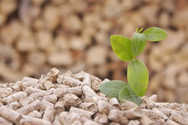 Photo of Pellets with green leaf