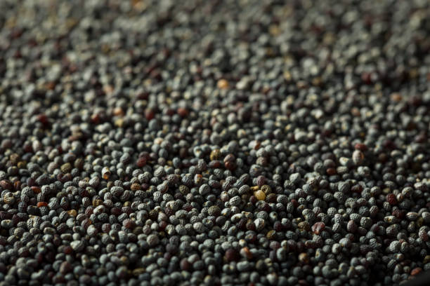istock Raw Organic Black Poppy Seeds 674347952