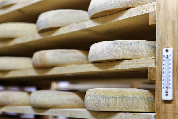 istock Aging Cheese at the maturing cellar Franche dairy Comte 674348668