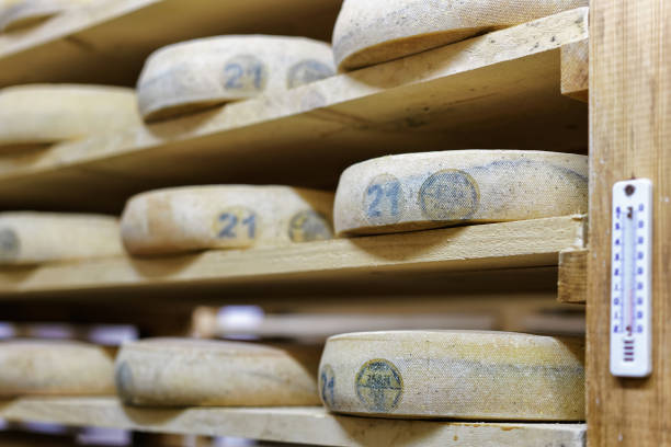 istock Aging Cheese in the maturing cellar Franche creamery Comte 674348706