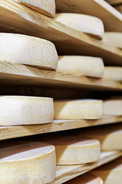 istock Comte Aging Cheese at ripening cellar Franche dairy 674348842