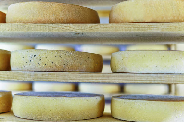 istock Comte Aging Cheese in ripening cellar Franche creamery 674348848