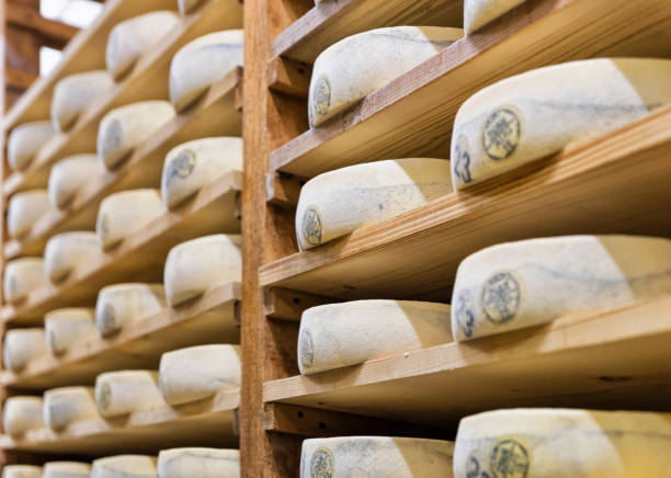 istock Pile of aging Cheese in maturing cellar creamery Franche Comte 674349182