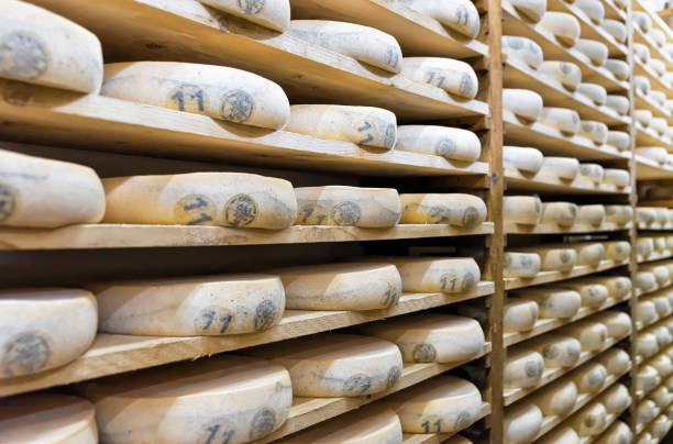 istock Pile of aging Cheese in maturing cellar in Franche Comte 674349186