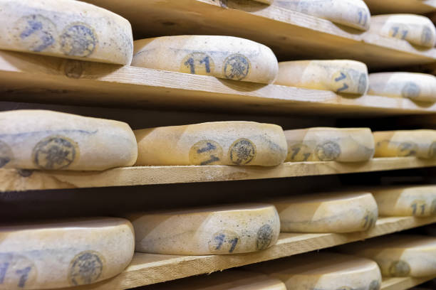 istock Pile of aging Cheese in maturing cellar Franche Comte 674349194