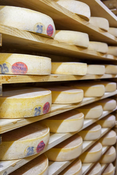 istock Pile of aging Cheese in ripening cellar creamery Franche Comte 674349212