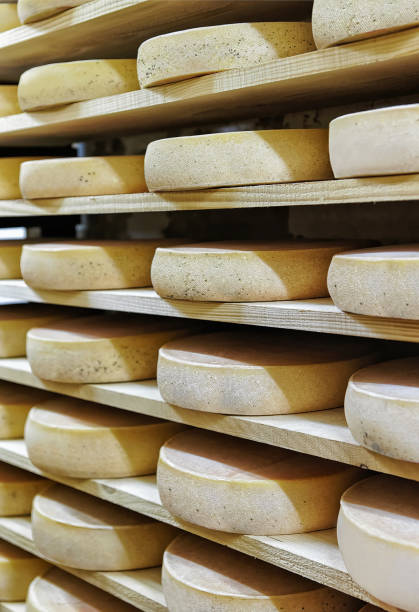 istock Rack of aging Cheese at ripening cellar Franche Comte creamery 674349320
