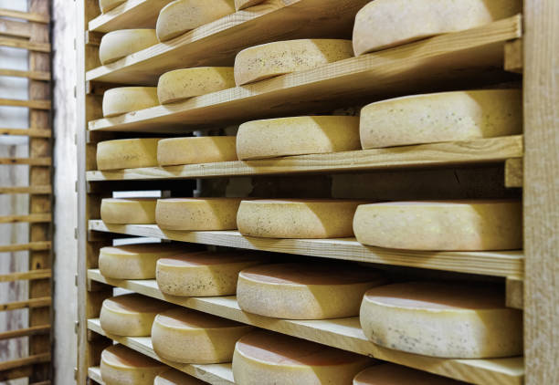 istock Rack of aging Cheese at maturing cellar Franche Comte creamery 674349322