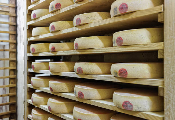 istock Rack of aging Cheese in maturing cellar Franche Comte creamery 674349342