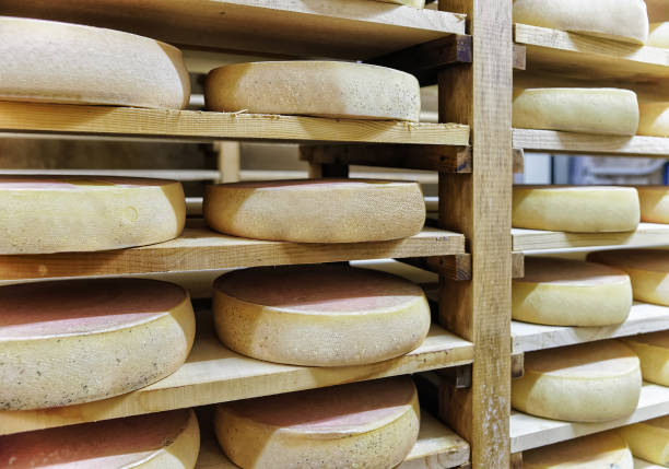 istock Rack of aging Cheese at maturing cellar Franche Comte dairy 674349348