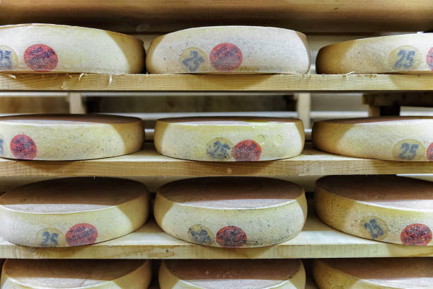 istock Rack of aging Cheese in maturing cellar Franche Comte 674349350