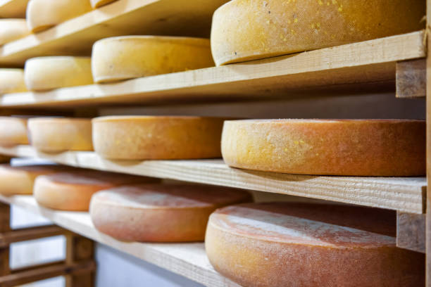 istock Row of aging Cheese in maturing cellar Franche Comte dairy 674349398