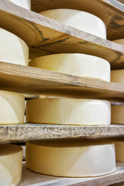 istock Row of aging Cheese in maturing cellar Franche Comte creamery 674349404