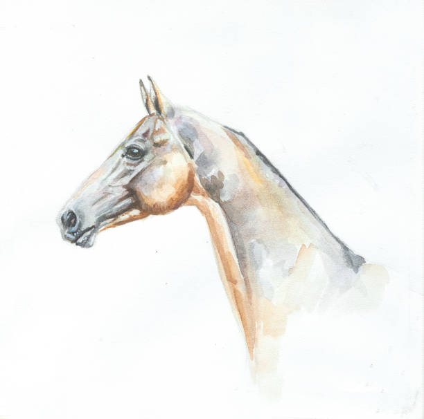 istock animals watercolor paintings 674349406