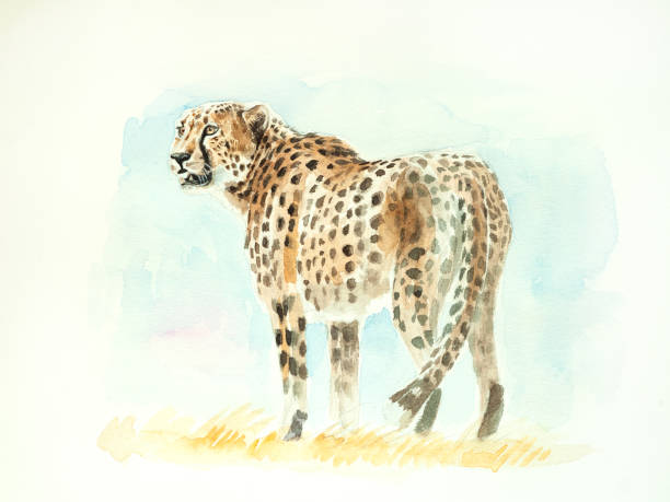 Pink Leopard Standing Still With Paint On Top Of It Background