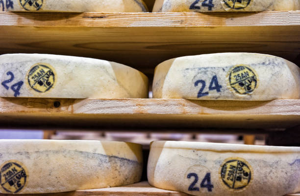 istock Rows of aging Cheese at maturing cellar Franche Comte creamery 674349422