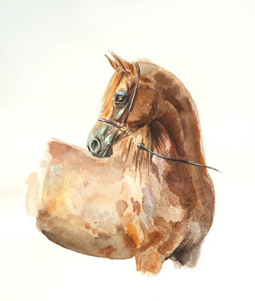 istock animals watercolor paintings 674349452