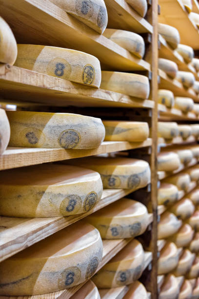 istock Rows of aging Cheese at ripening cellar Franche Comte dairy 674349458