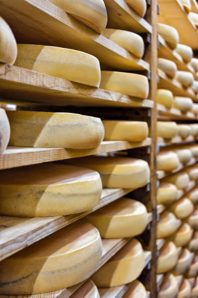 istock Rows of aging Cheese at ripening cellar Franche Comte 674349460