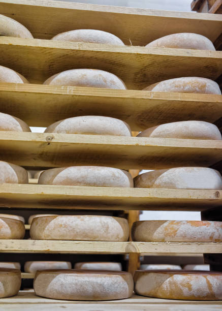 istock Rows of aging Cheese in maturing cellar Franche Comte dairy 674349496