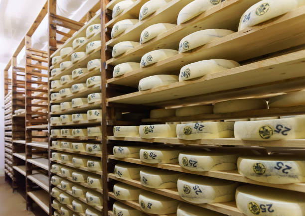 istock Shelves of aging Cheese at maturing cellar dairy Franche Comte 674349530