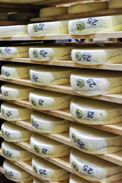 istock Shelves of aging Cheese at maturing cellar Franche Comte dairy 674349540