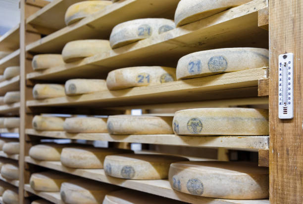 istock Shelf of aging Cheese in ripening cellar Franche Comte dairy 674349542