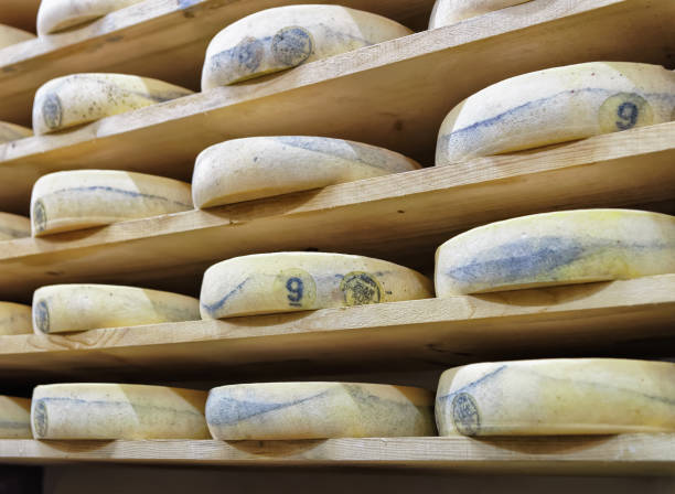 istock Shelves of aging Cheese at maturing cellar Franche Comte 674349552