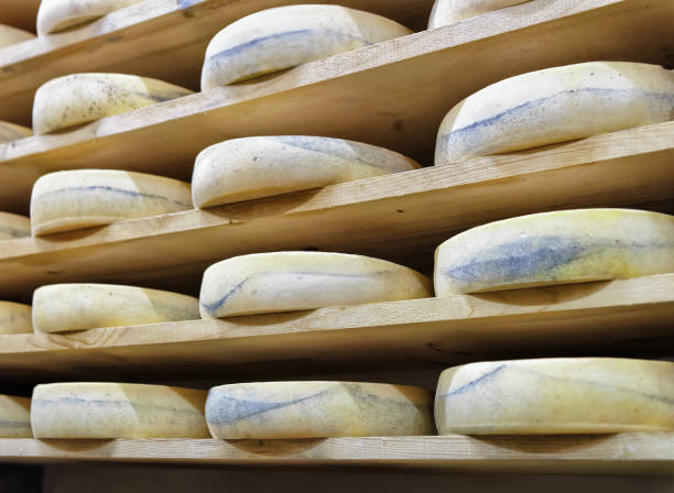istock Shelves of aging Cheese in maturing cellar Franche Comte 674349576