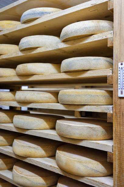 istock Shelves of aging Cheese in ripening cellar dairy Franche Comte 674349614