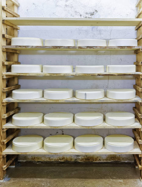 istock Shelves of young Cheese at ripening cellar Franche Comte dairy 674349622