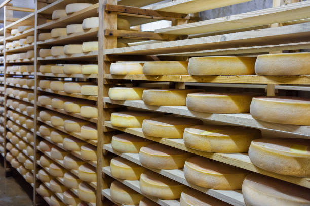 istock Shelves of aging Cheese on ripening cellar Franche Comte dairy 674349640