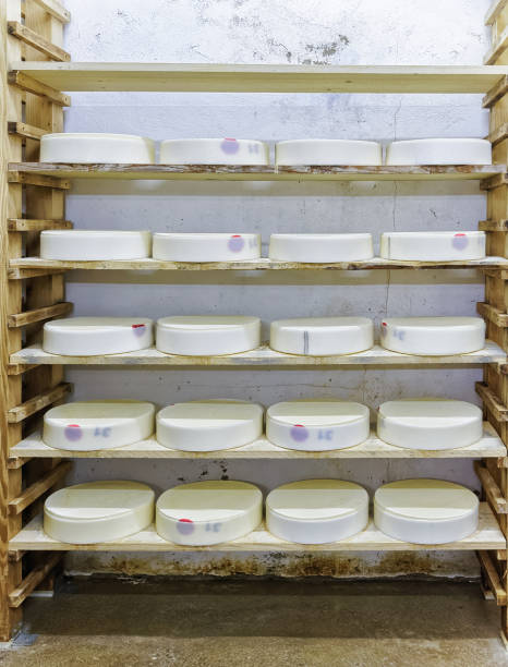 istock Shelves of young Cheese in ripening cellar Franche Comte dairy 674349666