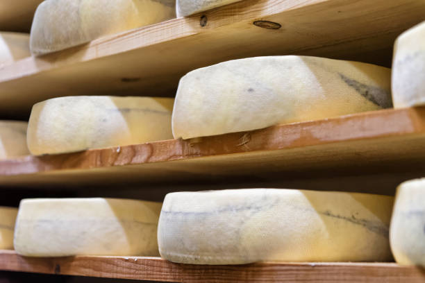 istock Stack of aging Cheese at maturing cellar Franche Comte creamery 674349674