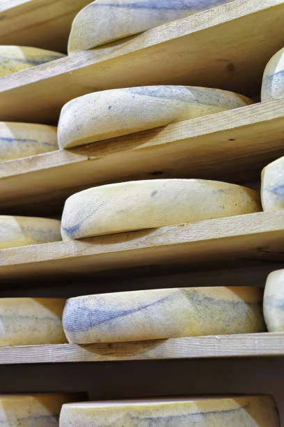 istock Wheels of aging Cheese in maturing cellar Franche Comte 674351838
