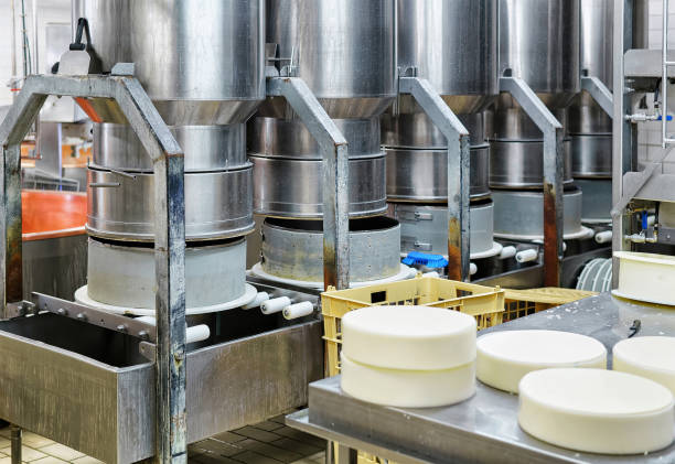 istock Young Gruyere Comte Cheese pressed in special forms in dairy 674351984