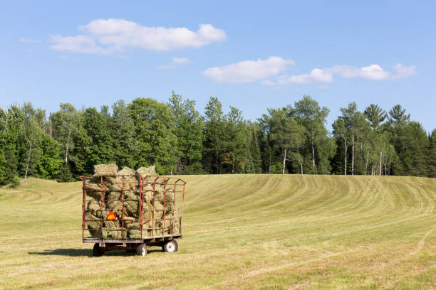 istock Hay Wagon in a Farm Field 674365074