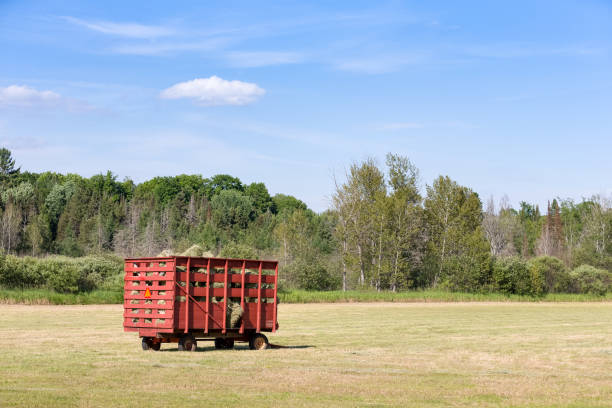 istock Red Hay Wagon in a Farm Field 674365092