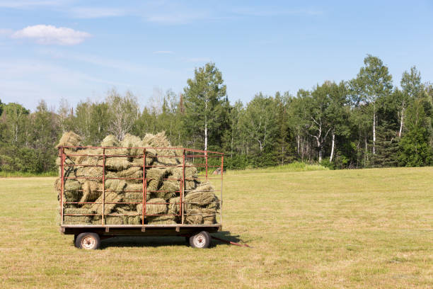 istock Hay Wagon in a Farm Field 674365108