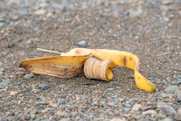 A banana peel lying on gravel. Shallow depth of field.