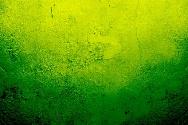 Photo of Green Textured Wall