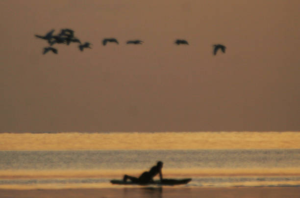istock Stand up paddle boarder sunset with birds overhead 674388168