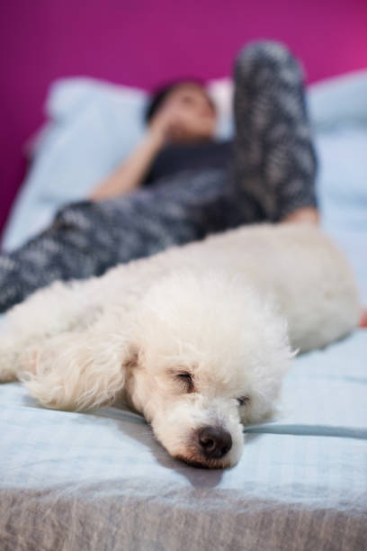 istock Woman and dog lay on bed 674390970