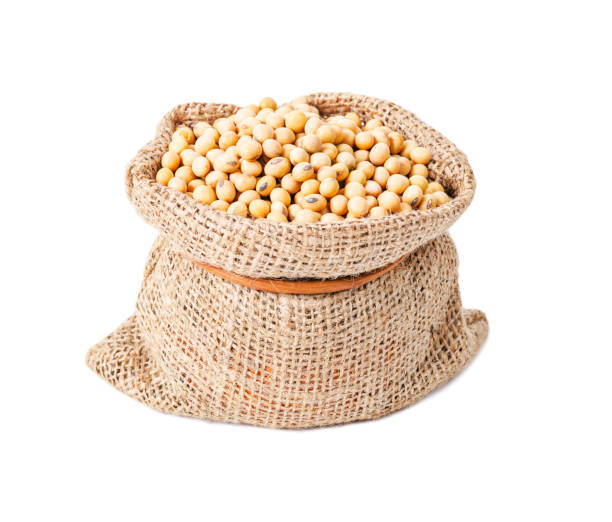 istock gold soybean in burlap bag 674404176