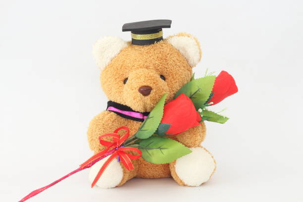 istock Brown bear wearing a graduation cap and red roses on a white background. 674413518