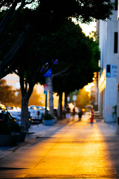 istock Golden Sidewalk at Sunset 674438130